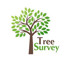 TreeSurvey.co.za